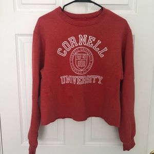 Distressed Cornell Sweatshirt